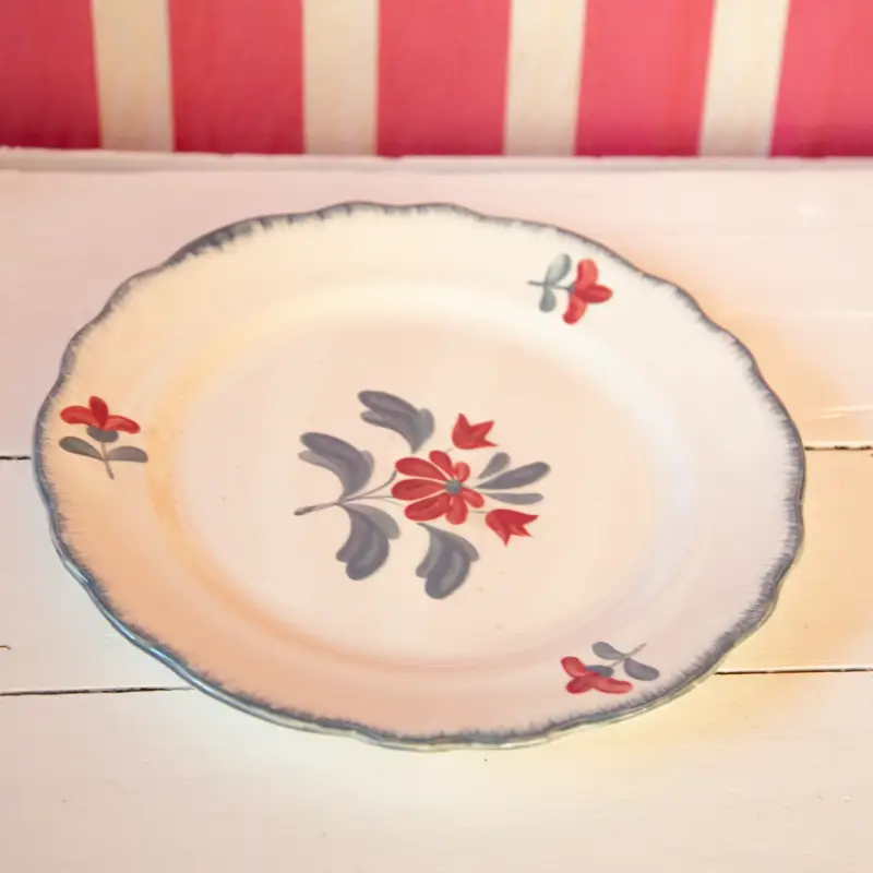 Plat Françoise E.Charbonnier Salins – Image 3
