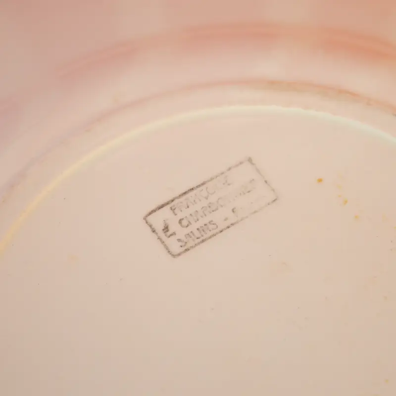 Plat Françoise E.Charbonnier Salins – Image 4