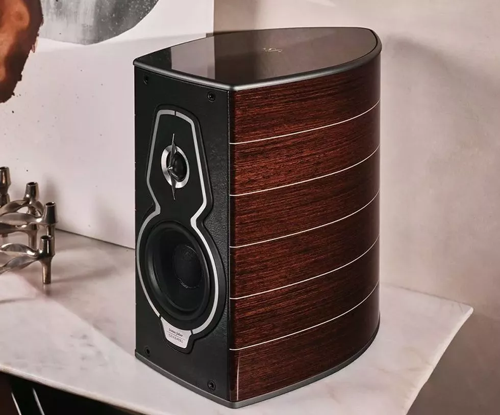 Sonus Faber Guarneri G5 Homage Tradition – Image 5