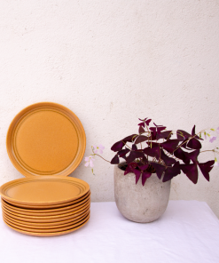 11 assiettes grès atelier art Lorraine Sarreguemines