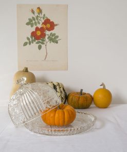 Assiette et cloche en verre