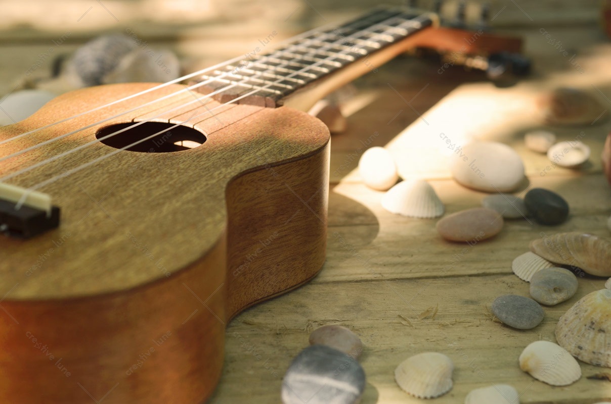 Ukulele et coquillages
